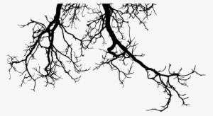 Free Png Tree Branches Silhouette Png Images Transparent - Creepy Tree Silhouette Png