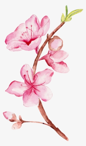 Watercolour - Posterazzi True Beauty Poster Print By Amy Cummings