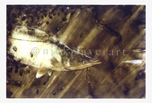 Snook And Deceiver Original Watercolor Painting - Watercolor Painting