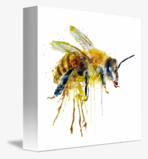 "watercolor Bee" By Marian Voicu - Bee Transparent Watercolor