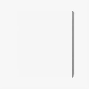 Summer Seamless Pattern With Watercolor Parrot, Palm - Gray Background 8.5 By 11