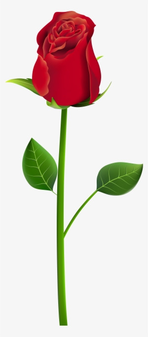 Rose Png Clip Art Transparent Image - Rose Png For Picsart