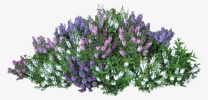 Bushes Png Image - Flower Bed Png