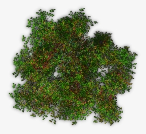 06 Feb 2009 - Stock Photography