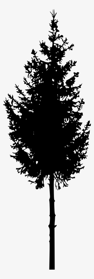 Free Download - Portable Network Graphics