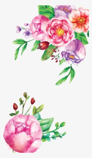 Watercolor Flowers - Pink Floral Watercolor Transparent