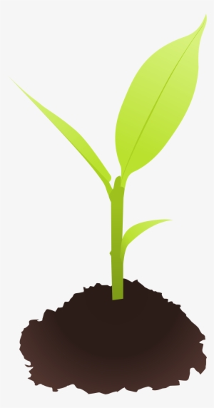 This Free Icons Png Design Of Small Plant