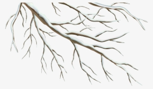 Jpg Library Stock Branch Transparent Winter - Winter Tree Branch Clip Art