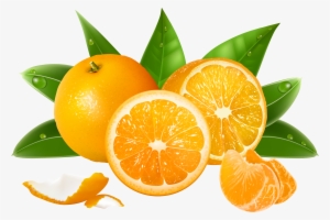 Png Free Download Orange