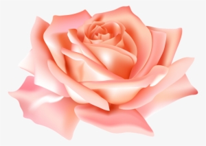 Peach Rosebud Floral Element Hand Painted In Watercolor - Peach Flower Png