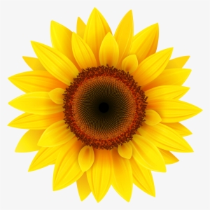 Jpg Black And White Library Sun Flower Clipart