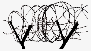 Barbed Wire Barbed Tape Concertina Wire - Razor Wire Png Transparent