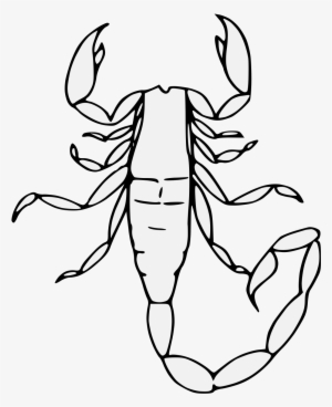 Details, Png - Heraldic Art