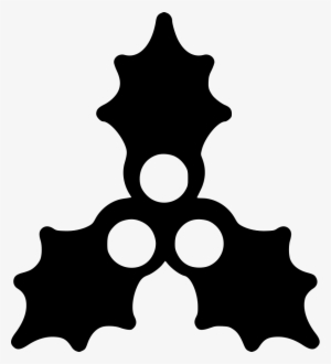 Holly Comments - Christmas Day