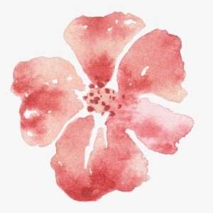 Of A Friends Wedding In The Summer Of - Chinese Hibiscus