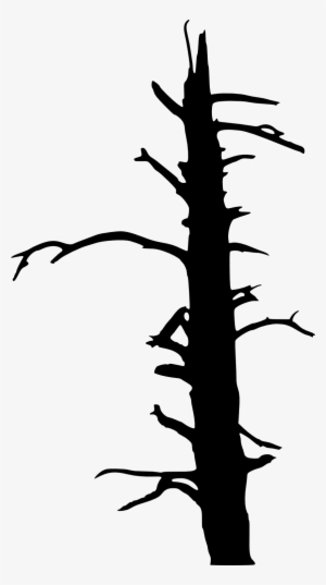 17 Dead Tree Silhouette - Portable Network Graphics
