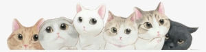 Cat Cats Cute Drawing 喵星人