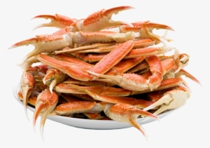 Crab