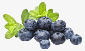 Emergency Essentials Freeze-dried Whole Blueberries