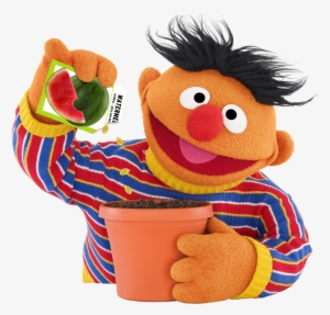 Ernie Plants Watermelon Seeds Sesame Workshop - Ernie Sesame Street Png