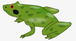 American Bullfrog Kermit The Frog Amphibian Australian - Custom Frog Shower Curtain