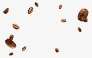 Coffee Beans Png - Coffee Bean Png