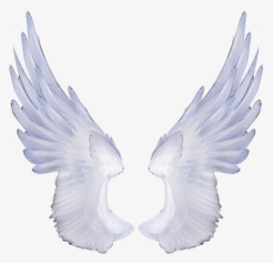 Free Angel Wings Transparent Background - Png Melek Kanatları