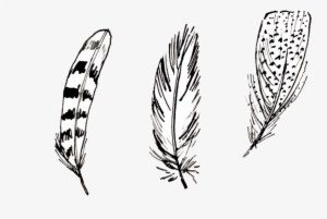 Feathers