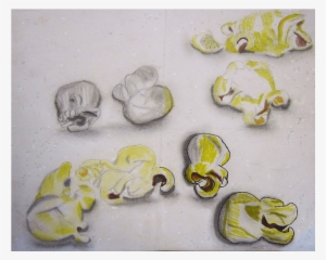 4 Squares Popcorn - Drawing
