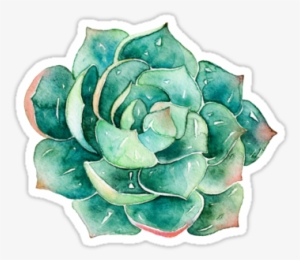 "watercolor Succulent Sticker " Stickers By Southprints - Water Color Succulent