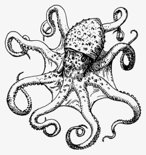 Jpg Free Download Octopus Drawing Images At Getdrawings - Black And White Octopus Clip Art