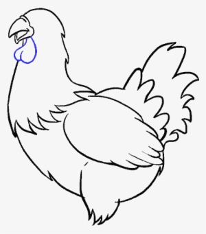 Drawn Chicken Chicken Feather - Drawing