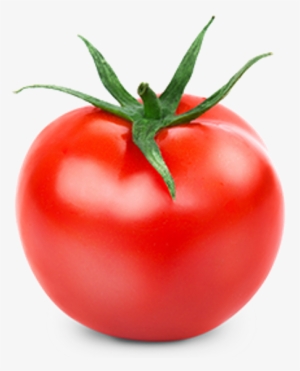 Scotts Miracle-gro Miracle-gro Gro-ables Salad Tomato
