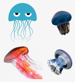 Jellyfish - Angry Blue Jellyfish Sticker