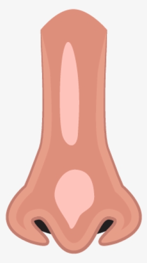 Nose - Illustration