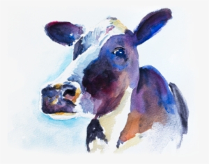 Dairy Cow