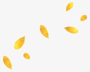 Yellow Flower Petals - Yellow Flower Petal Png