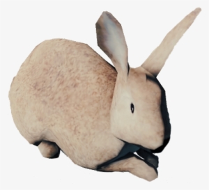 Forest Game Rabbit