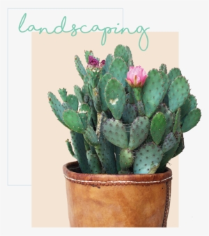 Landscapingheader