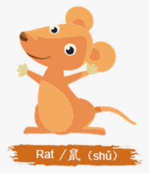 Chinese Rat