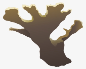 Scleractinia Clipart - Acropora Vector