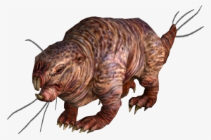 Mole Rat - Fallout Mole Rat