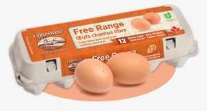 Free Range Eggs - Free Range Eggs Png