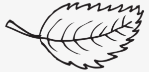 Banner Free Library Leave Drawing Pen - Drawing