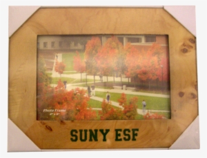 Wood Frame
