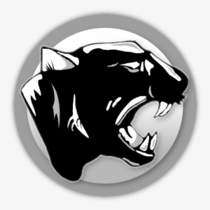 Panther In Circle - School