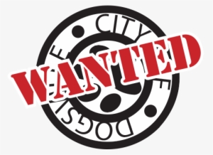 Words To Live By - Calligraphy