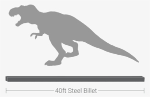 Each Of These Squares, Called A Billet, Is About The - Tyrannosaurus