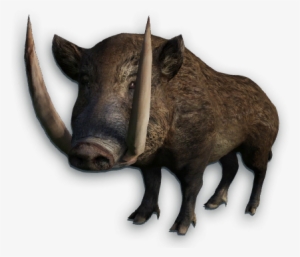 Boar Png - Dzik Png