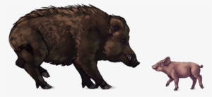Boar Png Download Image - Pigs And Warthogs